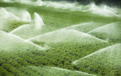 Conheça-as-estratégias-de-aplicação-de-fertilizantes-e-veja-qual-é-a-melhor-para-a-sua-lavoura-
